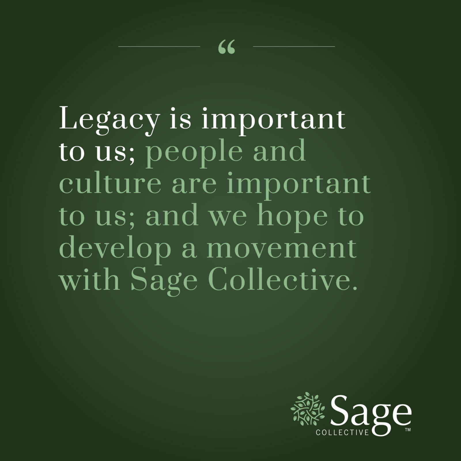 The Sage Collective Story From TSCP to Now Sage Collective