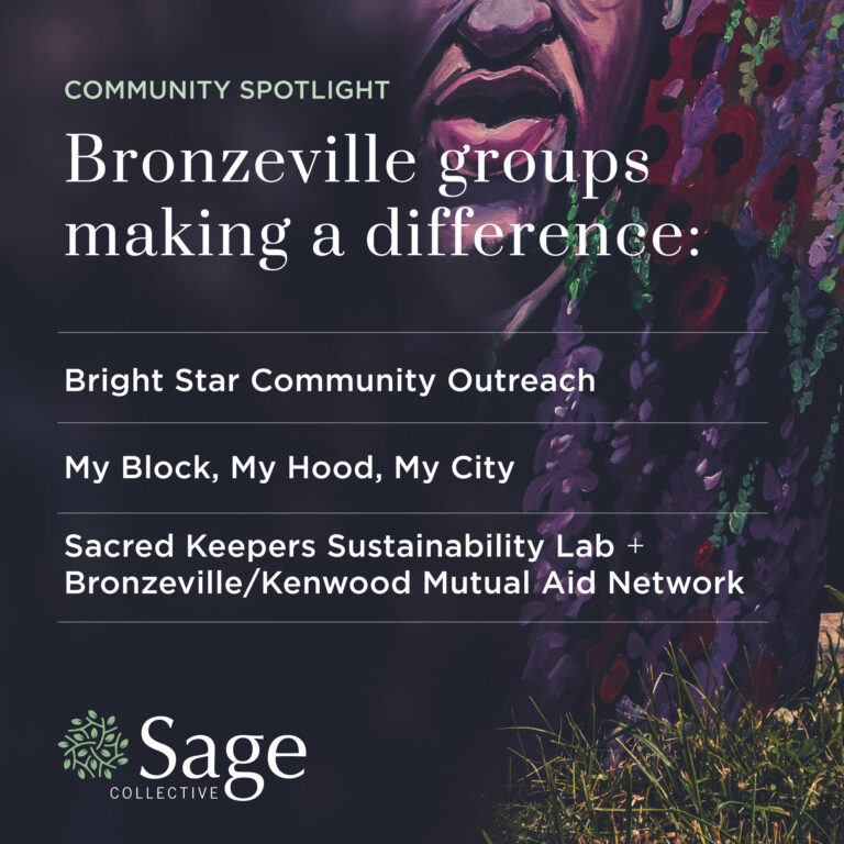 Text graphic reading: Community spotlight: Bronzeville groups making a difference: Bright star community outreach, my block, my hood, my city and sacred keepers sustainability lab + bronzeville/kenwood mutual aid network