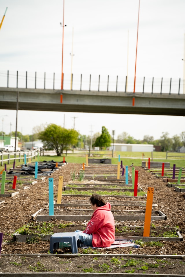 A person sits next to a foot stool in a large lot filled with community garden plots. Out of each plot sticks a brightly colored stakes that are numbered. Above the person appears a concrete bridge either for walking or driving.